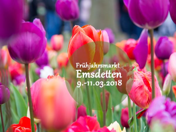 Emsdettener Frühjahrsmarkt 2018